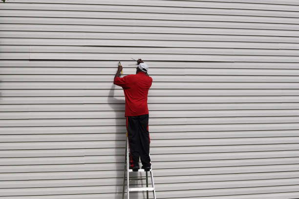 Best Custom Trim and Detailing for Siding  in Elephant Butte, NM